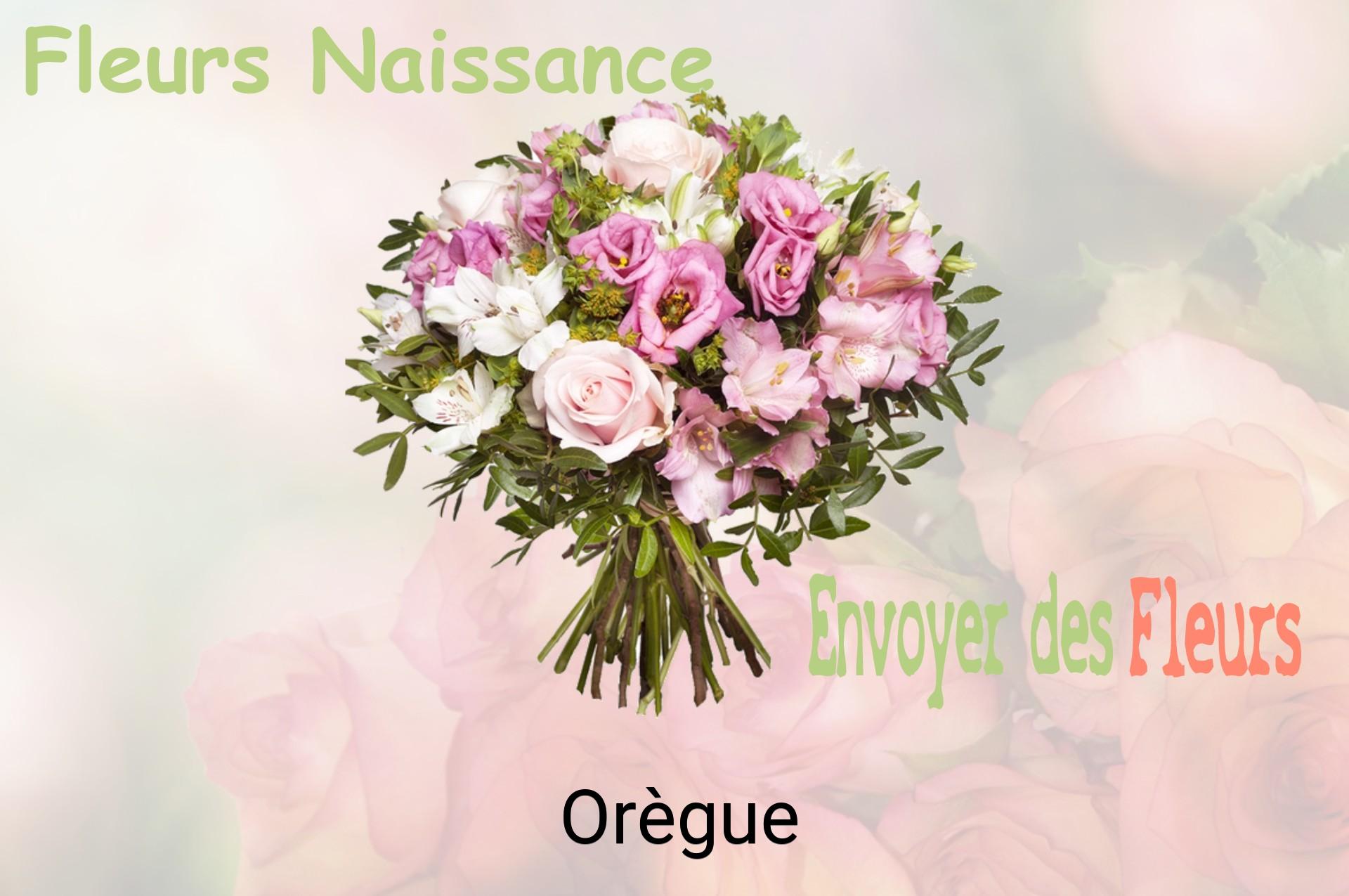 Bouquet de fleurs de naissance livré à Orègue